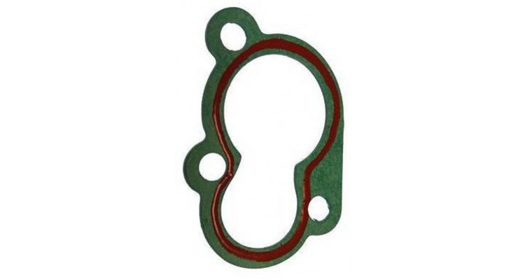 Termostata blīve, PAF20-05000702